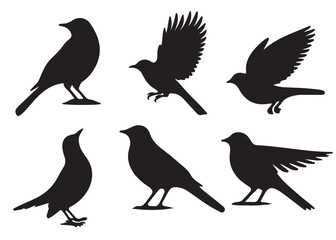 Set of bird silhouettes, Black bird vector art