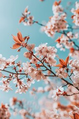 Fototapeta premium Closeup view of blossoming tree against blue sky on sprint