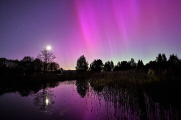 Northern Lights