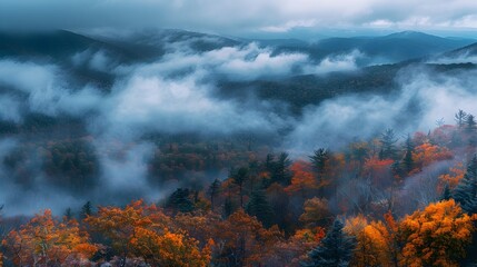 Autumn Forest Revealed as Swirling Grey Clouds Part in the Smokies
