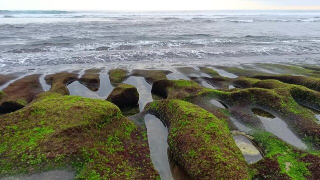 Landscape view of sea sand, moss and coral rocks on a cloudy summer day. Molang Beach, Tulungagung, Indonesia