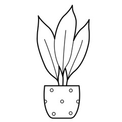 Dieffenbachia houseplant in pot. Outline illustration, design elements or page of coloring book.