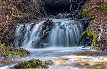 Beautiful stream rushing down a steep incline along Maxwell Falls Lower Trail in Colorado Rocky Mountains