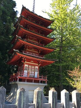 Japanese padoga