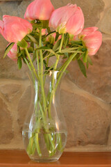Pink Peonies in glass vase