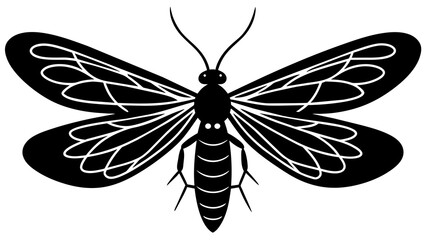 lacewing and svg file