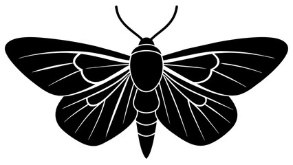 moth and svg file