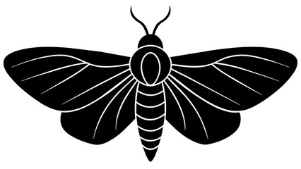moth and svg file