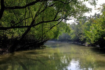 The Sundarbans, a UNESCO World Heritage Site.this photo was taken from  Sundarbans National...