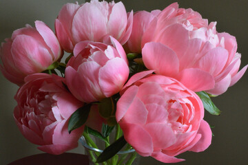 close-up of bouquet of pink cut peonies