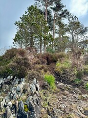 Pines Island, Connemara, Derryclare, Galway, Ireland