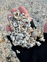 hand with corral pebbles on the beach, Ireland