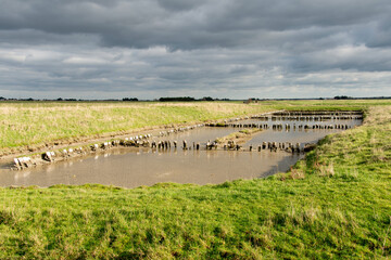 marais; region Pays de Loire; marais Breton; 85, Vendée, Loire Atlantique, France