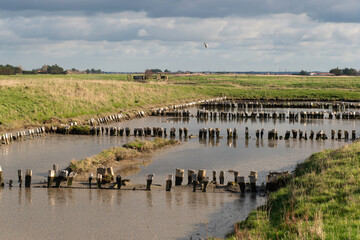 marais; region Pays de Loire; marais Breton; 85, Vendée, Loire Atlantique, France
