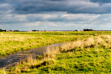 marais; region Pays de Loire; marais Breton; 85, Vendée, Loire Atlantique, France