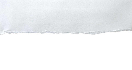 Paper different scraps set ripped page piece. Torn note paper page. Ripped note notebook grainy paper strips stuck. 