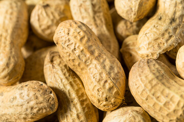 Brown Organic Raw Peanuts