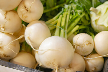 A young, juicy vegetable for preparing various natural and healthy dishes.