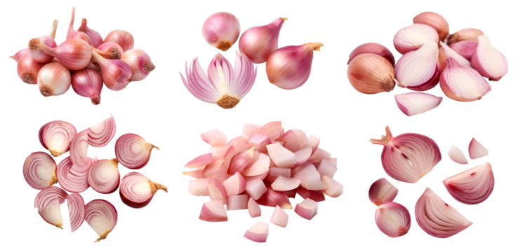 Shallot vegetable herb, many angles and view side top front cluster pile group isolated on transparent background cutout, PNG file. Mockup template for artwork graphic design