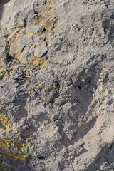 texture of old rough rock