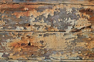 peeling paint on old boat timber texture