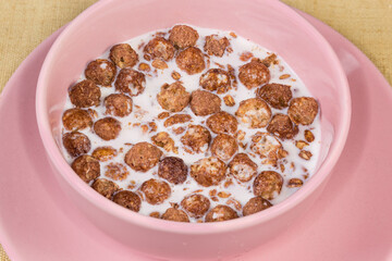 Breakfast cereals with cocoa drenched with milk, close-up