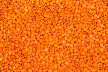 Background of surface of raw whole red lentil on heap