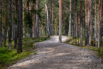 Gravelled and winding woodland walking path in a woodland setting, creating a peaceful and relaxing atmosphere without people in a natural setting in spring.