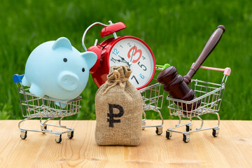 Money bag with russian ruble symbol, supermarket trolleys, piggy bank, judge's gavel and clock on...