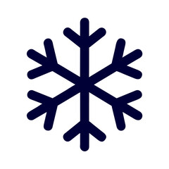 snowflake icon 