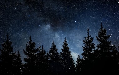 Starry night sky above silhouetted pine trees.