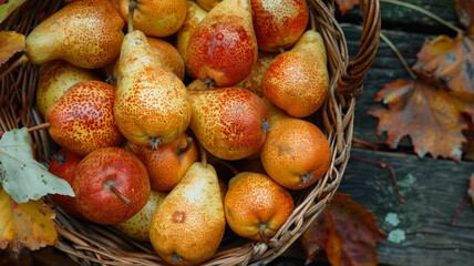 A basket filled with ripe, colorful pears, surrounded by autumn leaves.