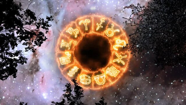 12 zodiac sign border fire bolt effect rotate over silhouette branch tree on the space and carina nebula background