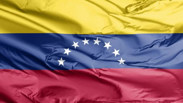 Venezuela flag waving