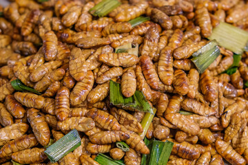 fried insect larvae, asian exotic street food, selective focus