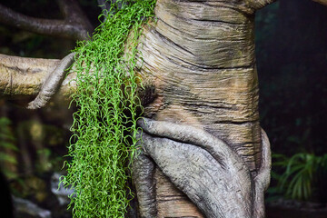 Elephant Trunk and Spanish Moss Texture Close-Up in Natural Setting