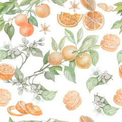 Orange fruit drawn in watercolor set separately on a white background juicy juice leaves fruit exotic orange color