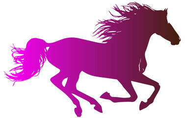 horse silhouette isolated on white