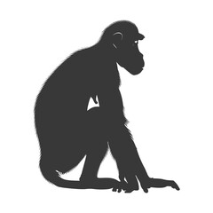 Silhouette Proboscis monkey animal black color only