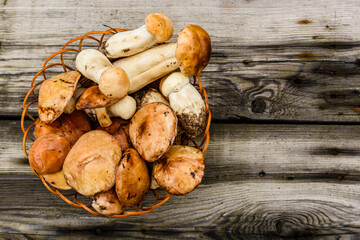 Wicker basket with freshly picked porcini and oiler mushrooms on a rustic wooden table. Top view