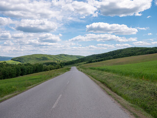 Asphalt road between villages in the Stropkov district winding through beautiful nature.