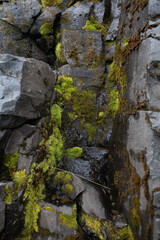 Mossy Rock