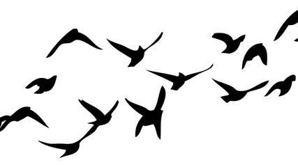 Flying birds silhouette flock. hand drawing. Not AI, Vector illustration