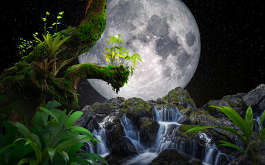 Tropical tree with full moon and waterfall in the background