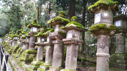 Japanese temple poles covered in moss from Nara