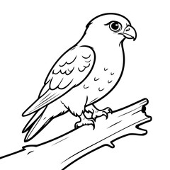Adorable Falcon for children books