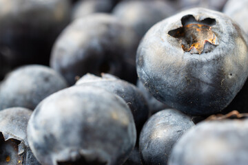 blueberries close up