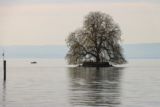 Blickfang im Genfer See; Ile de Peilz bei Villeneuve