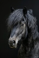 Fototapeta premium Majestic Horse Portrait on Black Background, Ideal for Equine Enthusiasts Generative AI