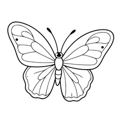 Adorable Butterfly drawing for children books